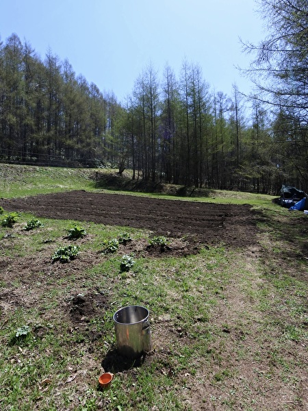 hHt5P9AglhnaBWT1746324027