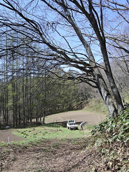 hOM5MQL8AwbZ8At1746324069