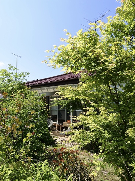 iHzQhenKcZfrtJI1747115896