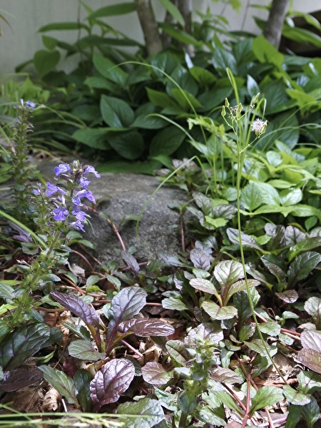 iWkOmqoVB7qhbdQ1747203710