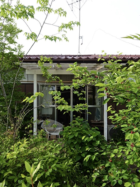 k5xC65a5TLlRWME1747986171