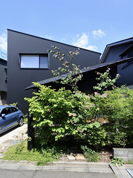 mrXASsxLL669N1w1748478459