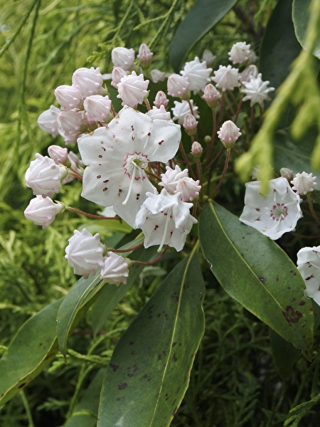 pN39CJ4EwOSia0b1747203591