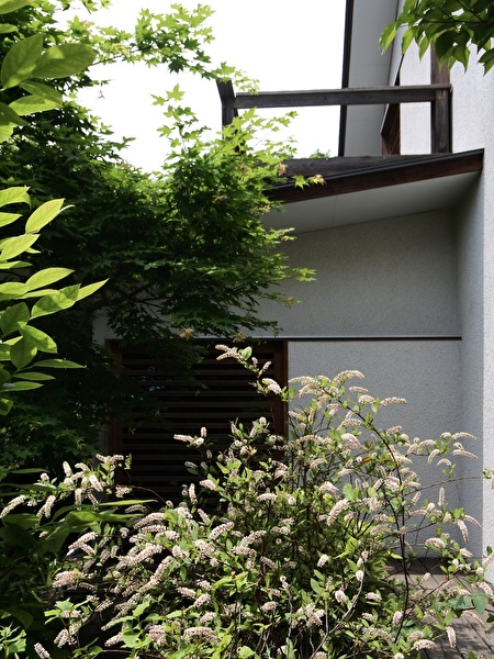 wgPBdK7d2XqzS0X1747203811