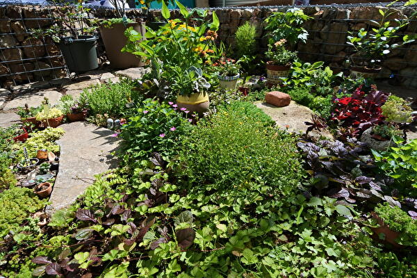 391gakg7XRvRPuB1749284217