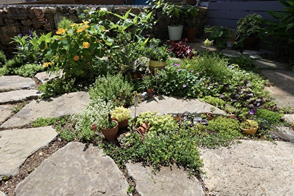 しゃがんで眺める庭