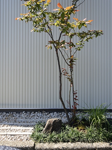 Txt2nHYzRQrGYZx1749285175