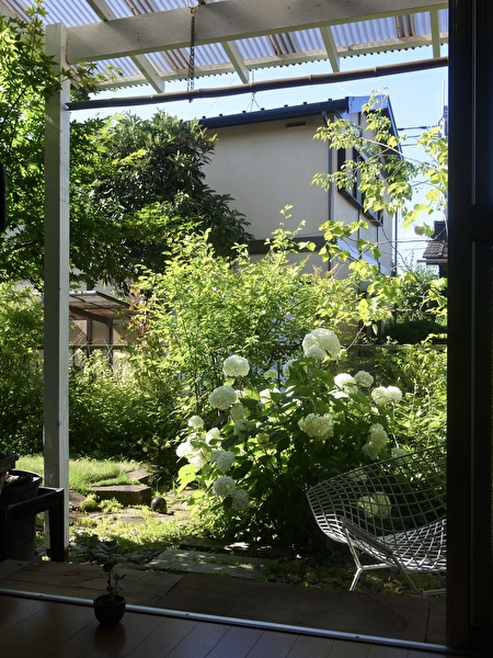 私の休息の風景