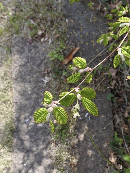 3jpjXR7qliKq7X61712477196