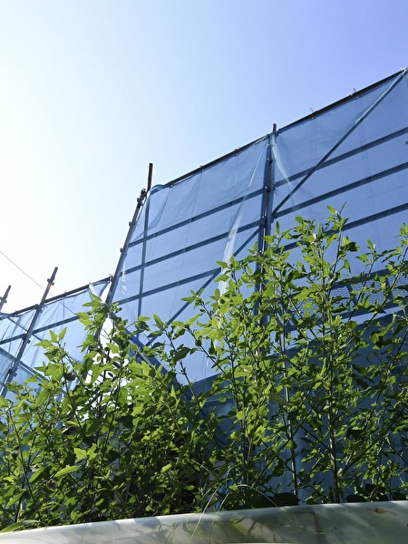 ZoZeRRwP2bYIBAK1753682406