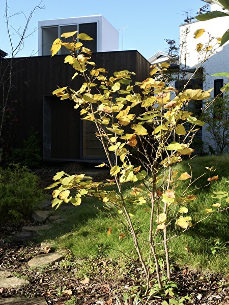 nAwgX8ALxGz3pqU1752364651