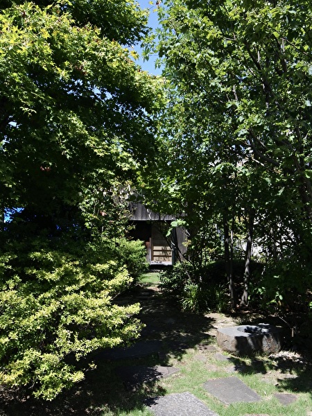 71wSDg8P9JzRBJ91756531243