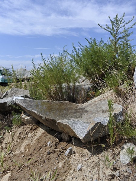 A8FfdSOudgZ4DGi1754793190