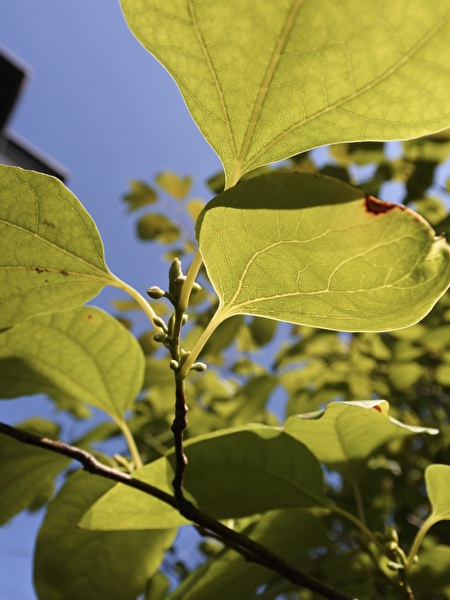 GSEnbHEgjGnyz2S1756531187