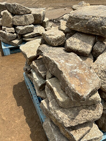 MZYta3NZRHrg9LG1754793372