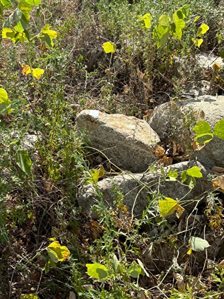 OhYFoNdCWUjJfv71754793254