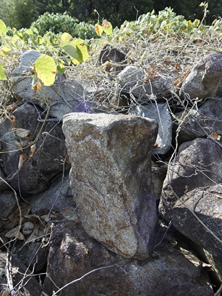 kF8q5wtmb3b7oBR1754793129