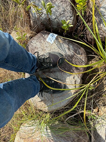 mDWalsO5ldprcM41754793349