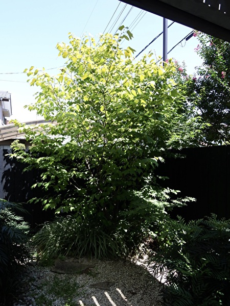 s5ZtAWVSrZoD5g91756531206