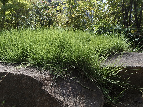 BXaPDIDnsZh5AJp1759027898