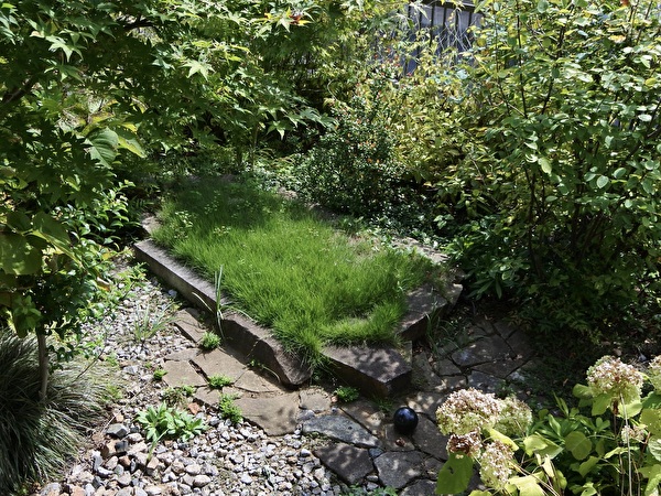 d52gNrx1YicRqPX1759027969