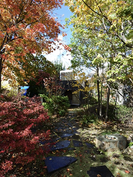 1zmYfl3MCXv33vr1762762291