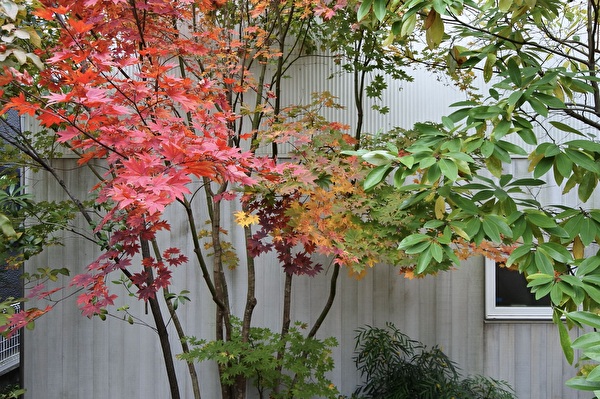 2fm1MEH75Kl71Kh1762762140