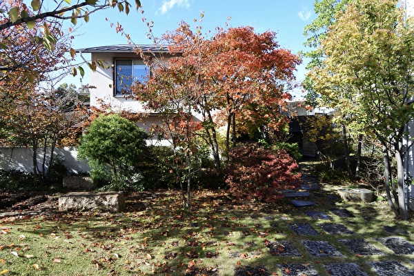 6qALLt0Je7qAIFT1762762373