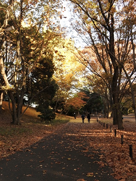 AXQ8Lo3h3p4lyaf1764219829