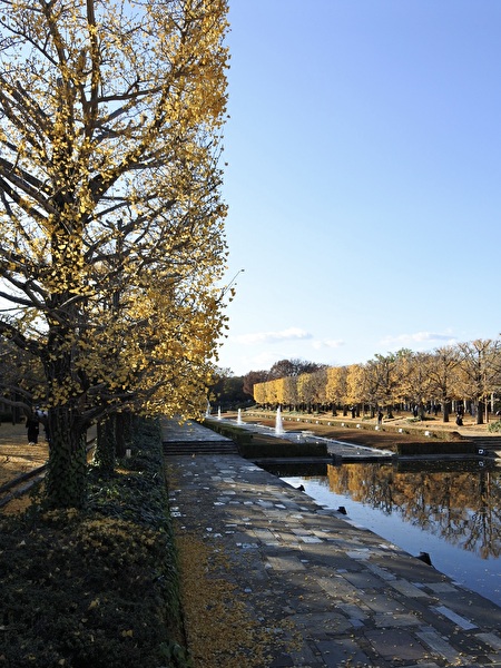 E8CSf7KgE4j22KQ1764219847