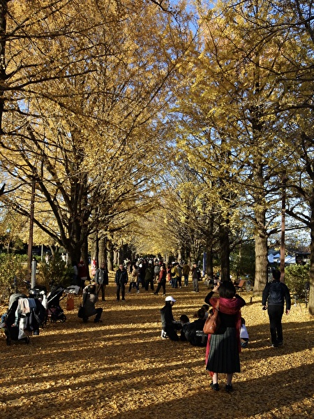 GO3OaTClCmXqw861764219338