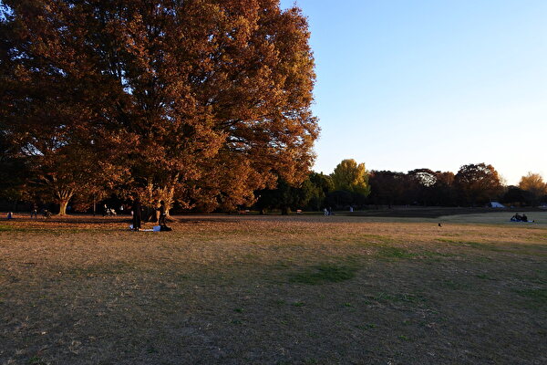 IaO01dKnSlznPA51764219467