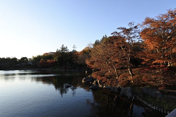 JybqtOObiNxrKrn1764219430