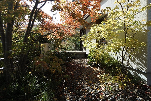 ゆく秋のつむじ、雨やどり後の閃き