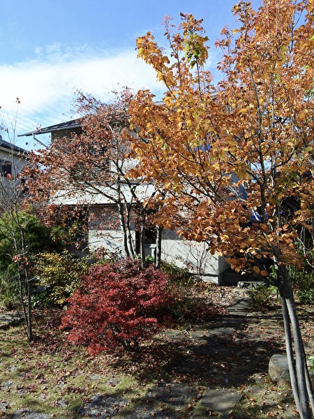 LhGGXlxT0s4K1WX1764030492