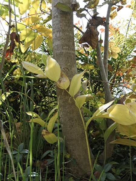 MTcOrMXslUO1hlI1763103397