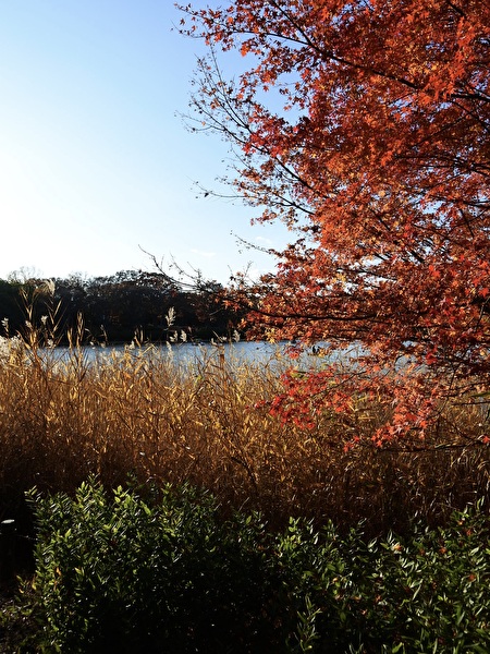 Z5zLMDkJWAAsKdq1764219253