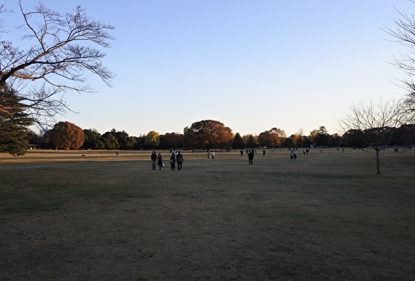 ajMpibQCTFNQ8HY1764219447