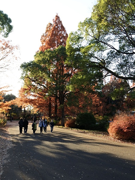 bCJfeBKMnRSbT6m1764219321