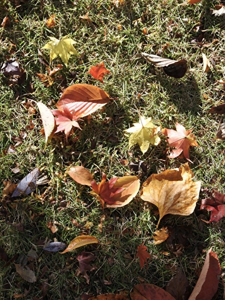 cT0qtZgdbLI7dD91762762447