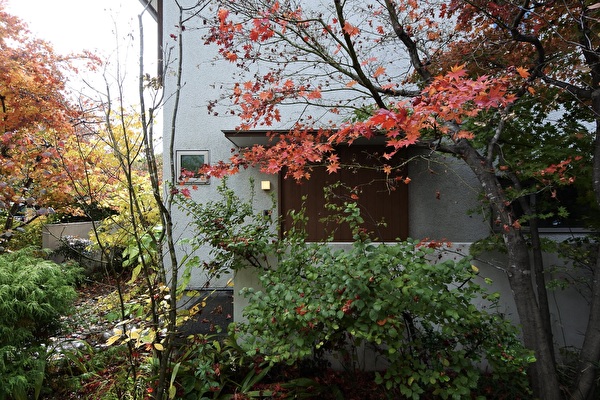 cwoJbhMF7nPR3fs1762762164