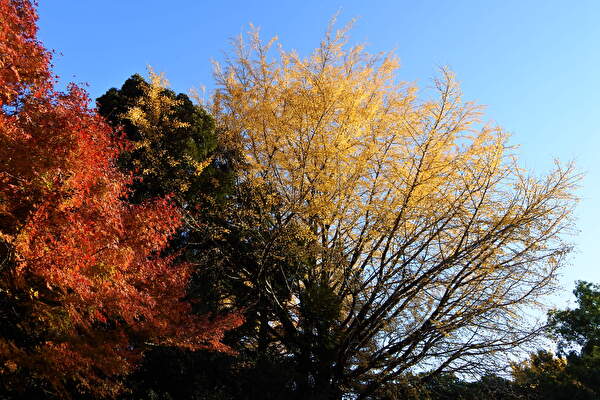 dXYHZHBIkoz3go41764219276