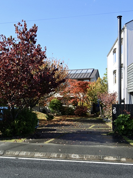 pB53e87Ta3RpLPy1762762413