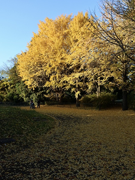 utcbJHGzO6stnxu1764219356