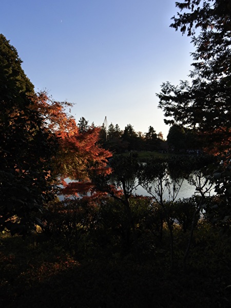 zKaCxM3zPFSacsF1764219372