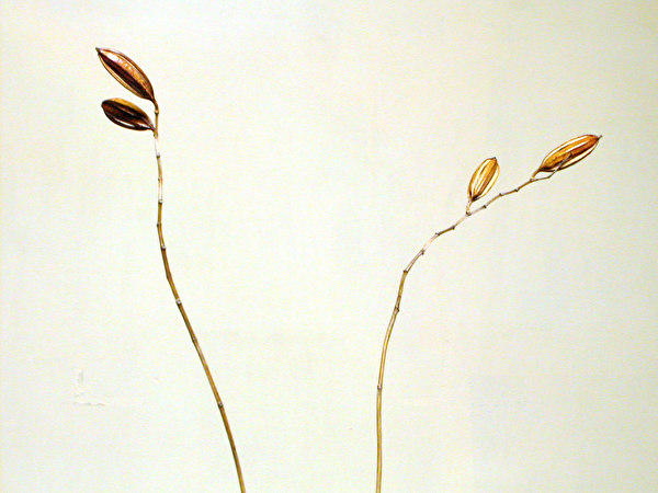 t@C¼ F DSCN1533.JPG t@CTCY F 470.3KB (481634 oCg) Beú F 0000/00/00 00:00:00 æTCY F 1600 x 1200 sNZ æðx F 300 x 300 dpi rbg F 8 rbg/`l veNg F It JID F N/A J@í¼ F E775 æ¿[h F NORMAL ªõ[h F }`p^[ªõ Io[h F vOI[g Xs[hCg F Èµ Å_£ F 14.5 mm Vb^[Xs[h F 1/3.3 b ièl F F4.4 Ioâ³ F 0.0 EV zCgoX F I[g Y F à  VN[h F N/A IoÎ· F N/A vOVtg F N/A Be´x F I[g Ös­² F I[g C[W^Cv F J[ J[Ýè F N/A F¢²® F N/A Êx²® F N/A K²â³ F W Üx(GPS) F N/A ox(GPS) F N/A x(GPS) F N/A