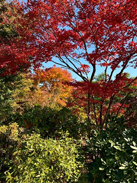 BcZrE7eK5C9a1rp1766193420