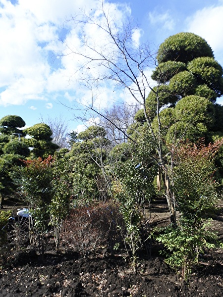 HYWruT7mza9fil41766800200