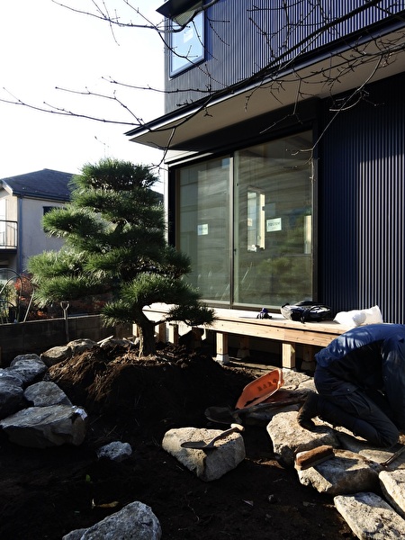 JvcHBne1DXZQ22j1766209043