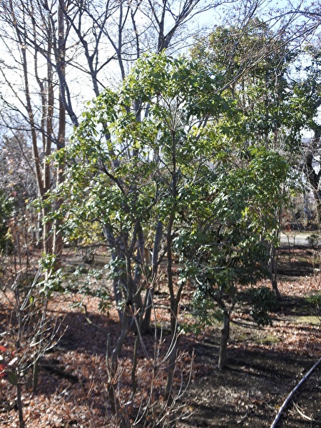 NwjG1UrPx3T7c5b1766800251